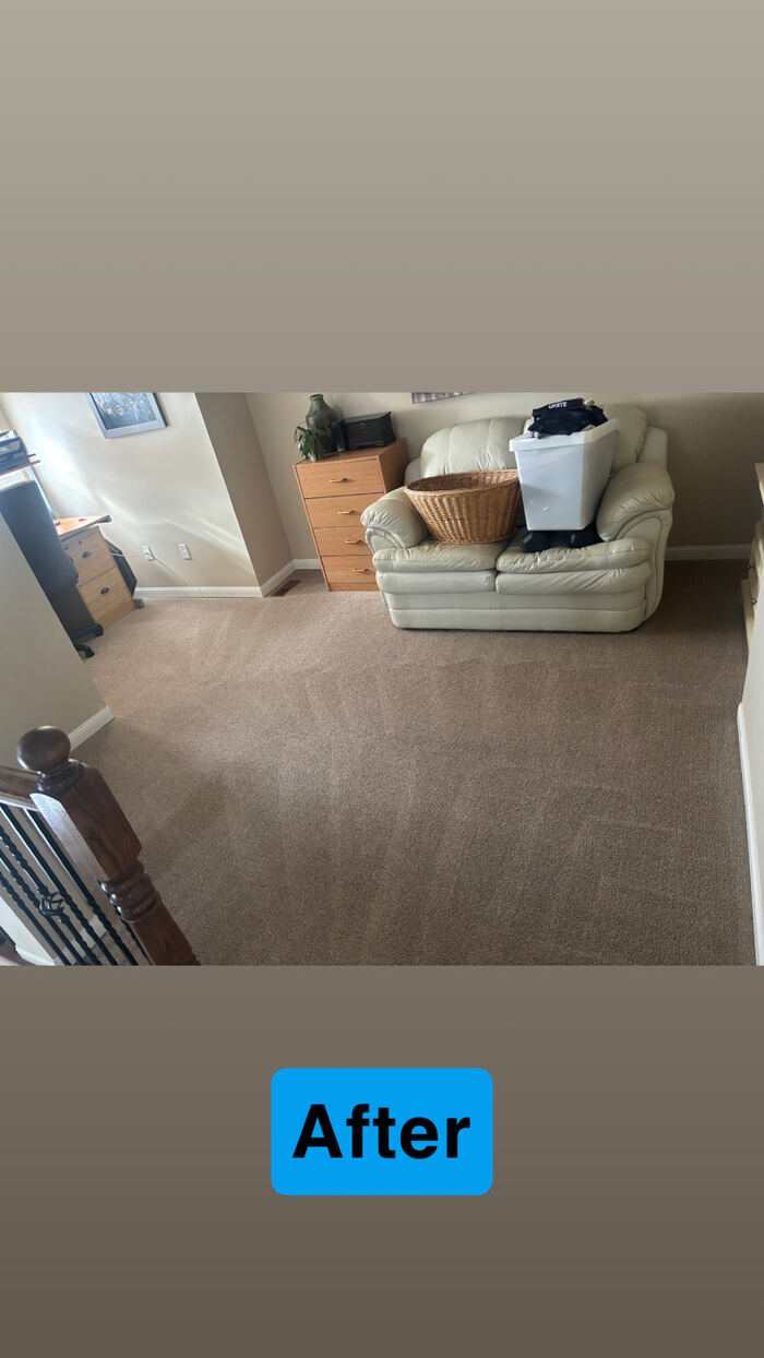 Same bedroom carpet after hot water extraction cleaning, stains removed