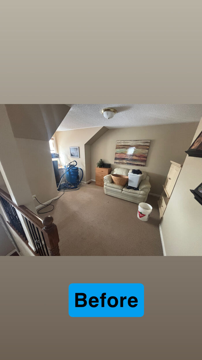 Bedroom carpet before hot water extraction cleaning, visible traffic staining