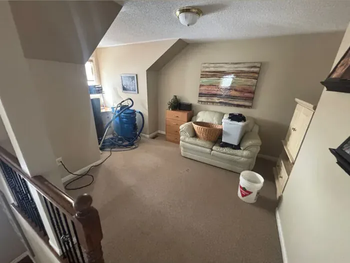 Living room carpet before professional steam cleaning, showing visible soiling and traffic wear