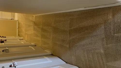 Freshly cleaned hallway carpet with visible clean extraction lines