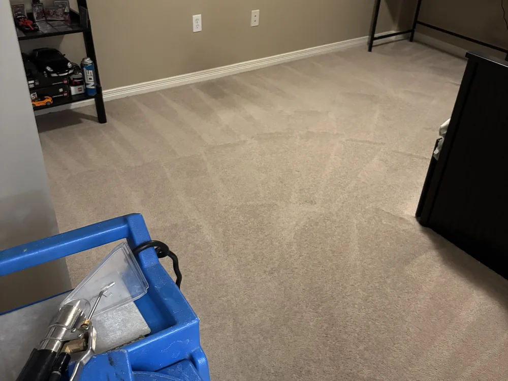 Bedroom carpet after hot water extraction cleaning, with the portable extractor and wand in frame