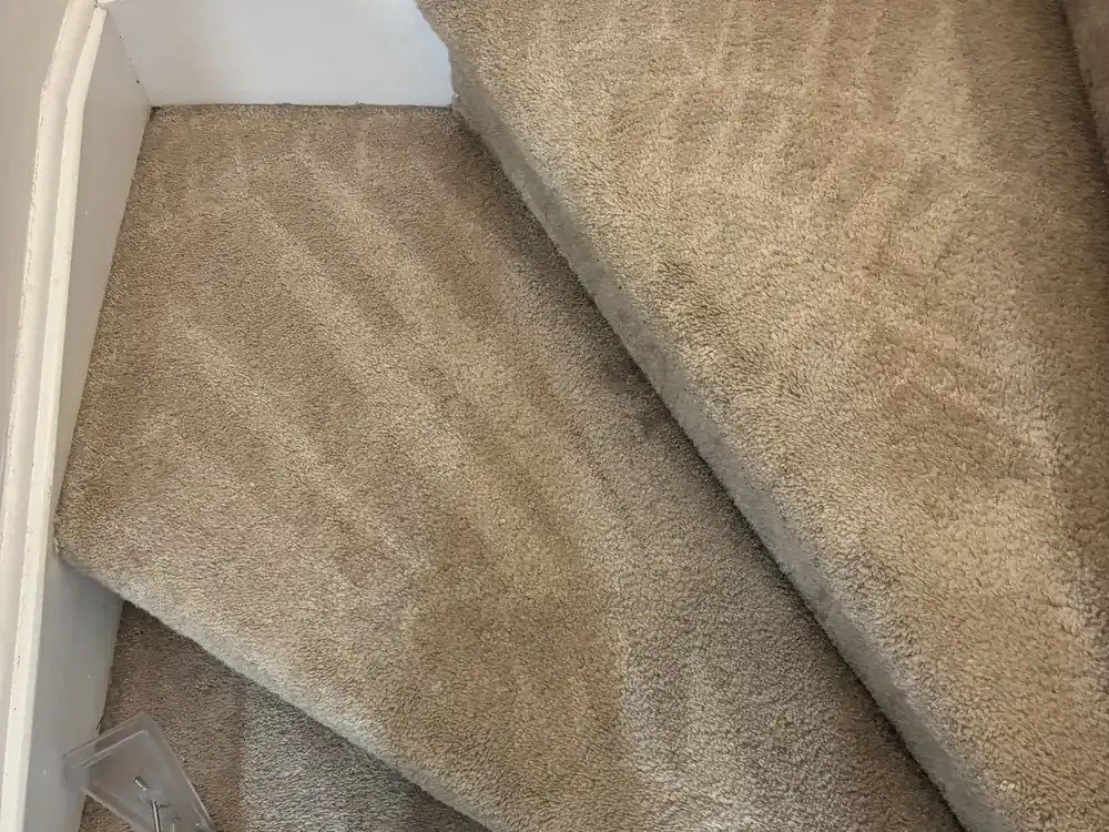 Carpeted staircase being cleaned with a hot water extraction wand, showing the cleaned treads