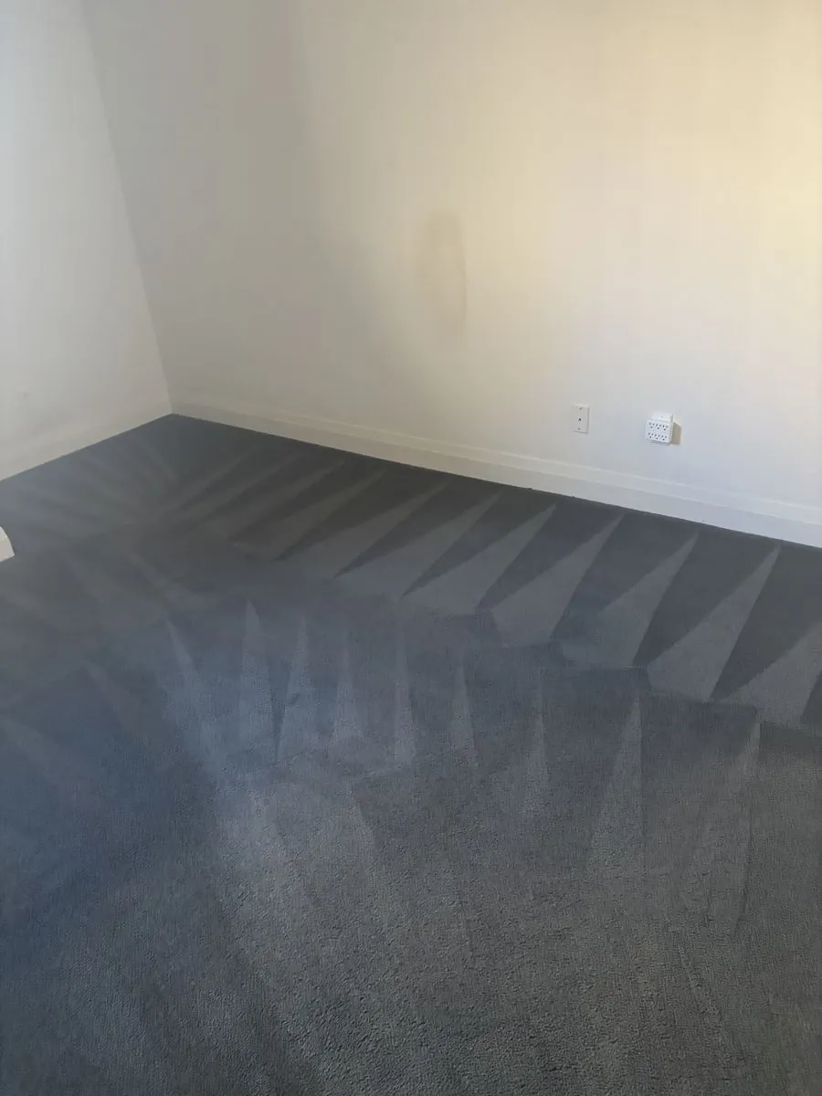Empty rental unit carpet in Brampton after hot water extraction