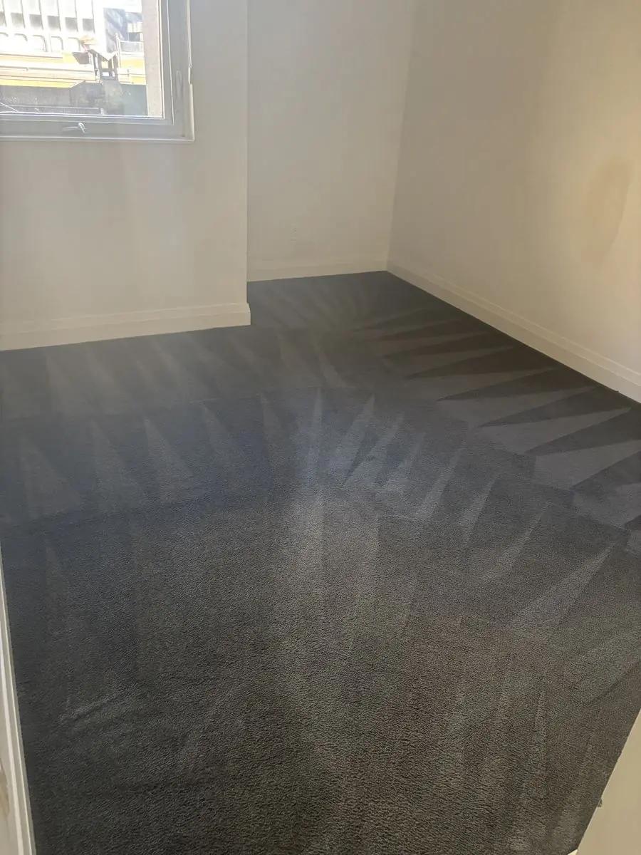 Vacant unit carpet cleaned before new tenant move-in, Brampton