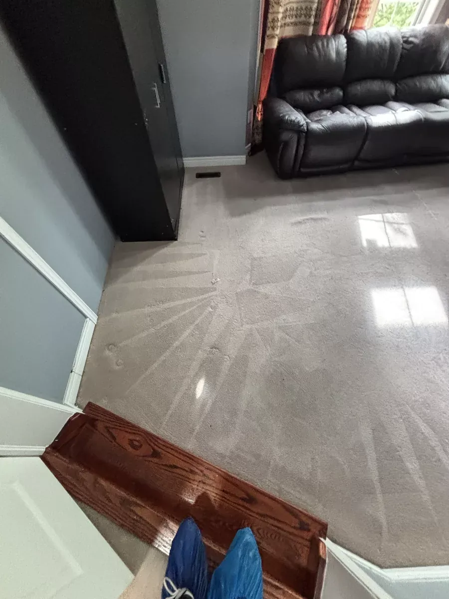 Cleaned carpet at a Brampton doorway and top stair, seen past blue shoe covers worn on the job