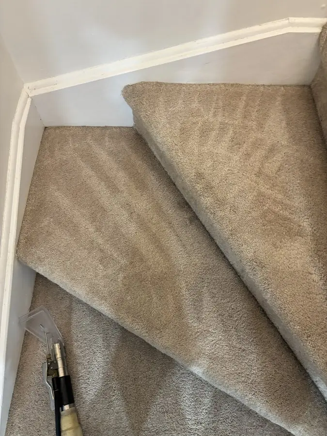 Carpeted stair winder and landing part-way through cleaning in Brampton, hand tool resting on the tread