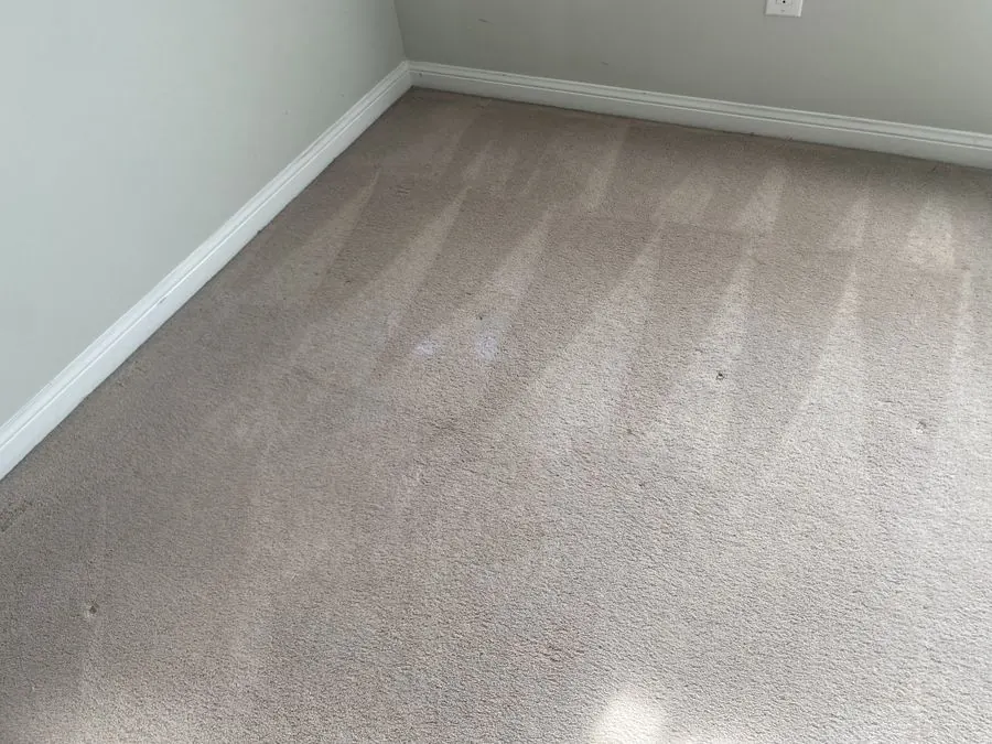 Bedroom carpet after professional hot water extraction cleaning in Burlington