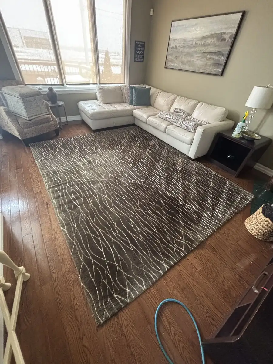 Area rug cleaned in place on the floor of a Caledon home