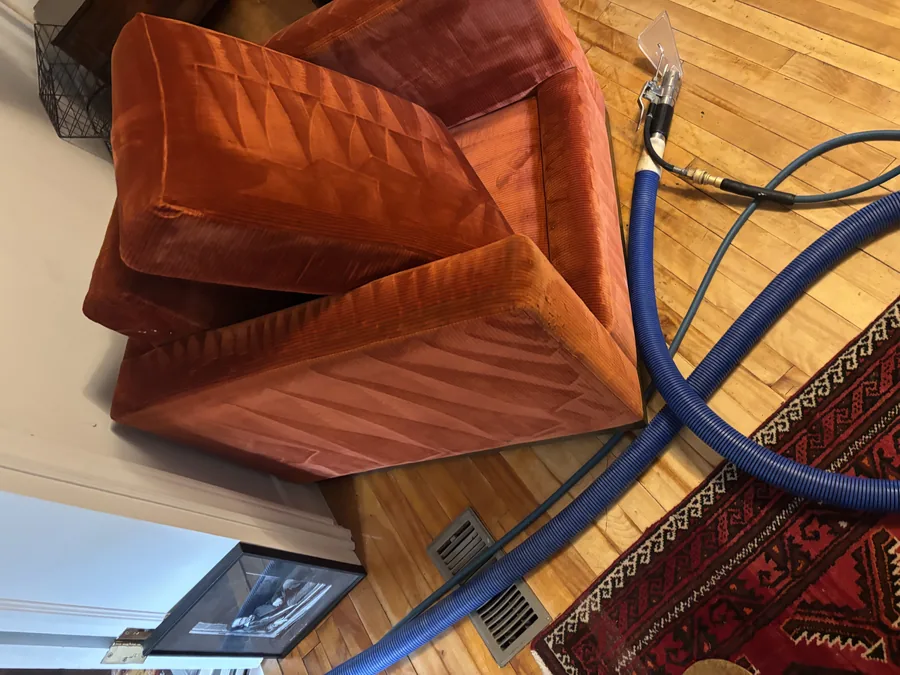 Sofa cushions removed for upholstery cleaning in a Palgrave home, with the extraction hose and upholstery wand in frame