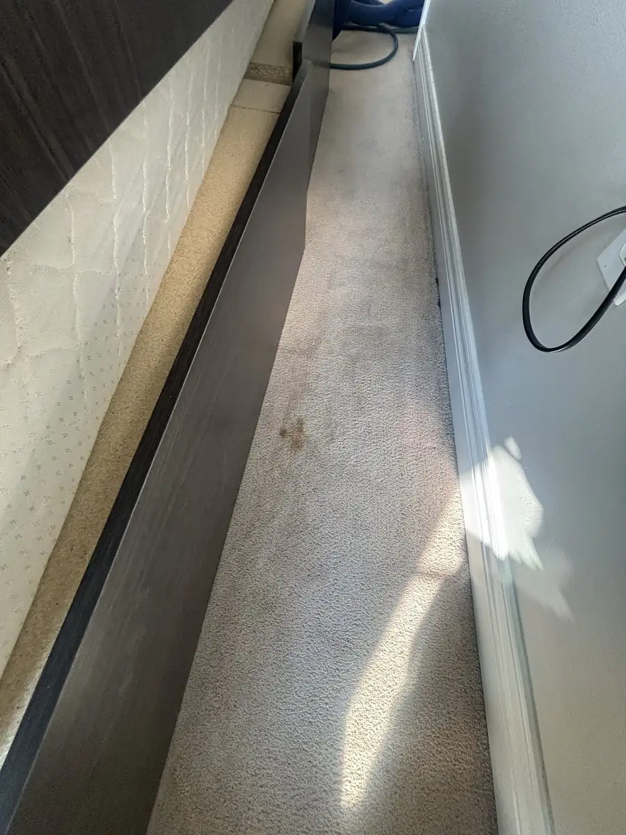 Carpet along a bedroom wall next to a wooden bed frame, showing a brown spot and dulled pile