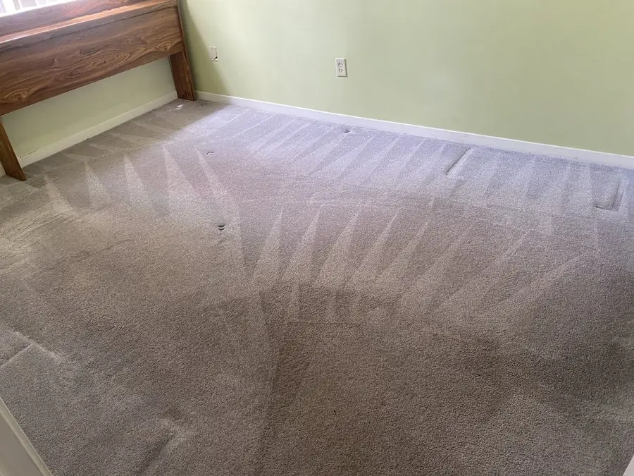 Bedroom carpet in a Georgetown home immediately after hot water extraction, with wand passes still visible