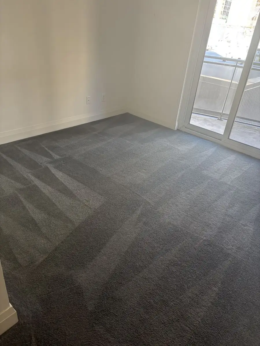 Condo bedroom carpet after hot water extraction cleaning, Milton