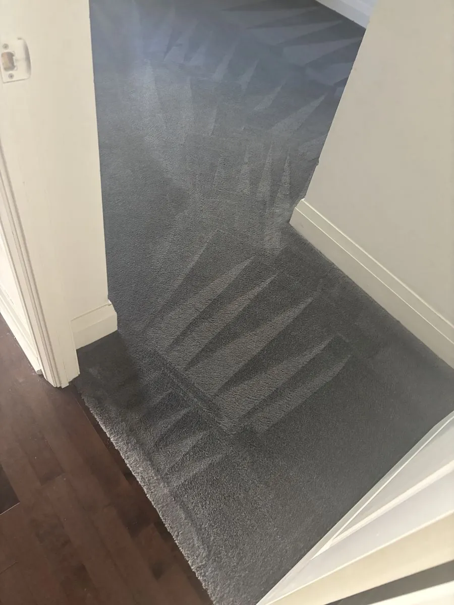 Condo hallway carpet after professional cleaning, Milton