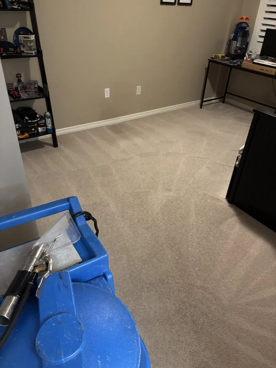 Blue Ninja portable carpet extractor and stainless wand on freshly cleaned condo carpet