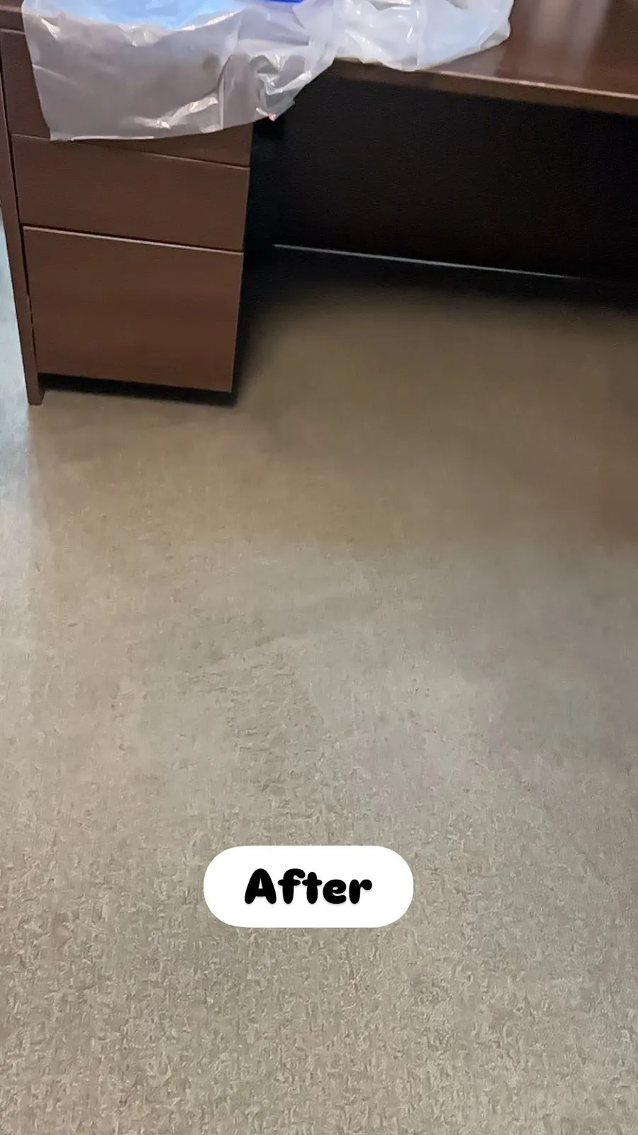 The same Mississauga office floor after hot water extraction, with the stain lifted