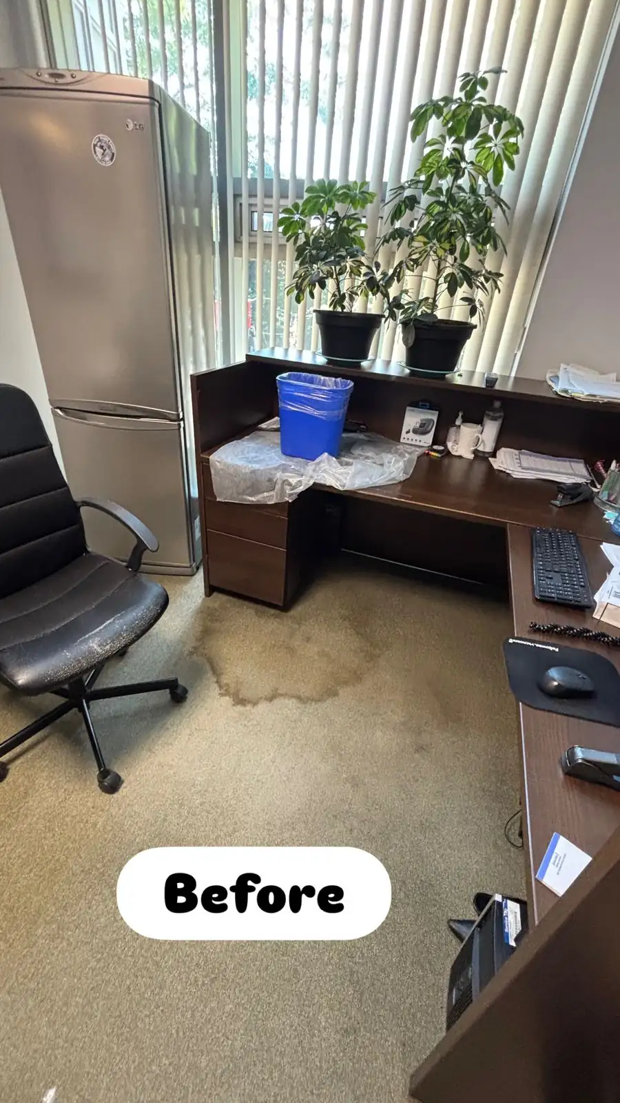 Office carpet in Mississauga before cleaning, showing a dark stain on the floor beside a desk