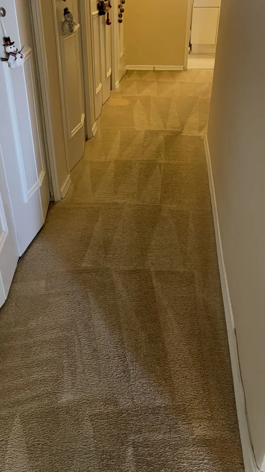 Hallway carpet after professional cleaning in Oakville home
