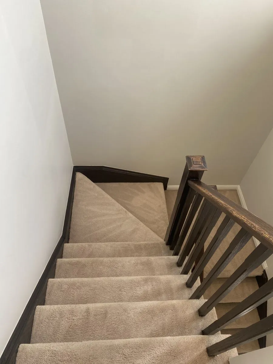 Staircase carpet after hot water extraction cleaning, Oakville